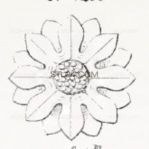 ROSETTE_1885